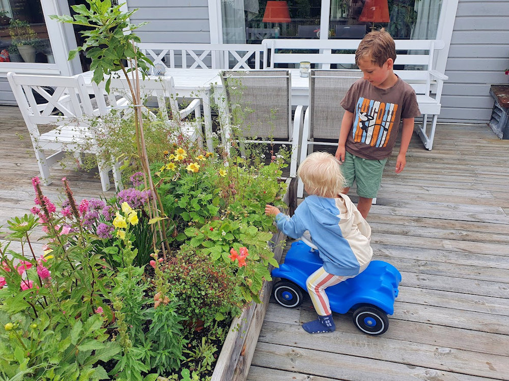 photo