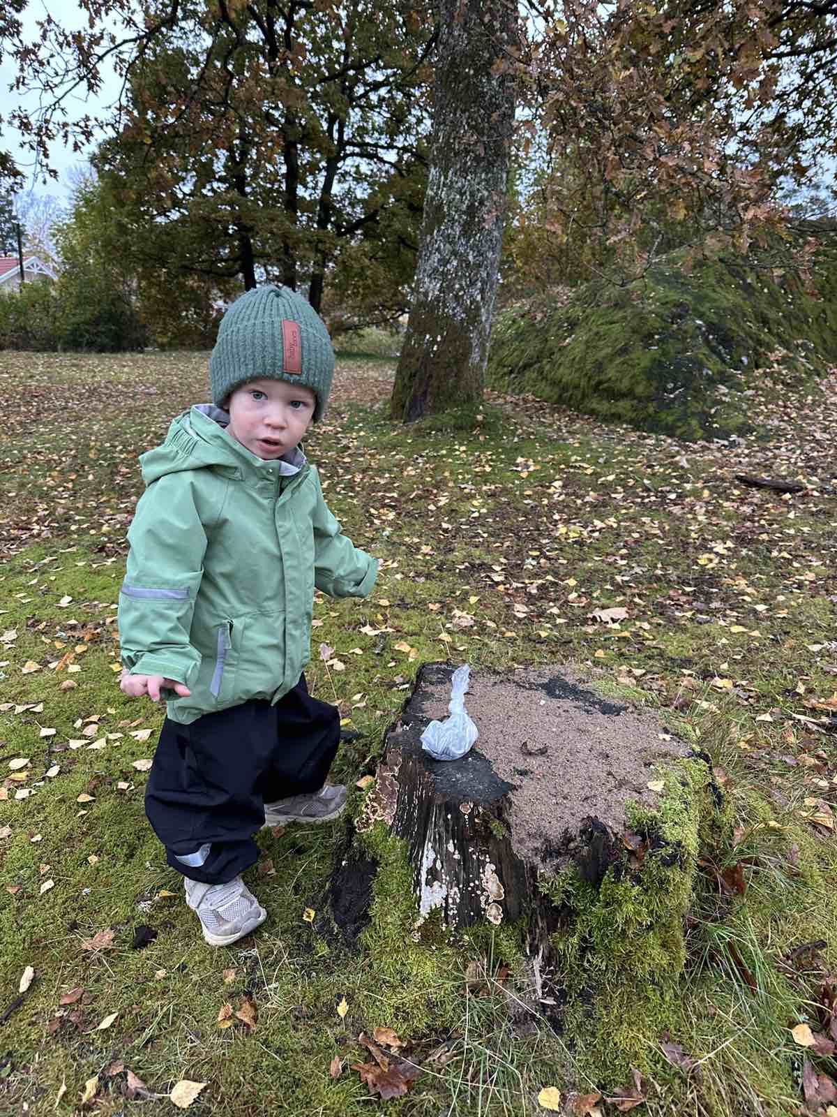 20261022LeavingHisSootherIntheStump